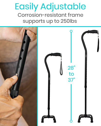 Quad Cane Vive