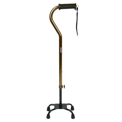 Quad Cane Vive
